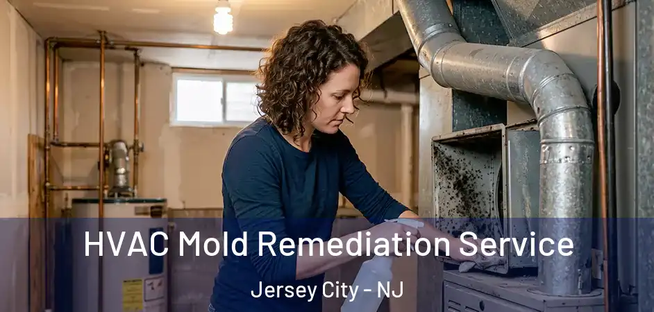 HVAC Mold Remediation Service Jersey City - NJ